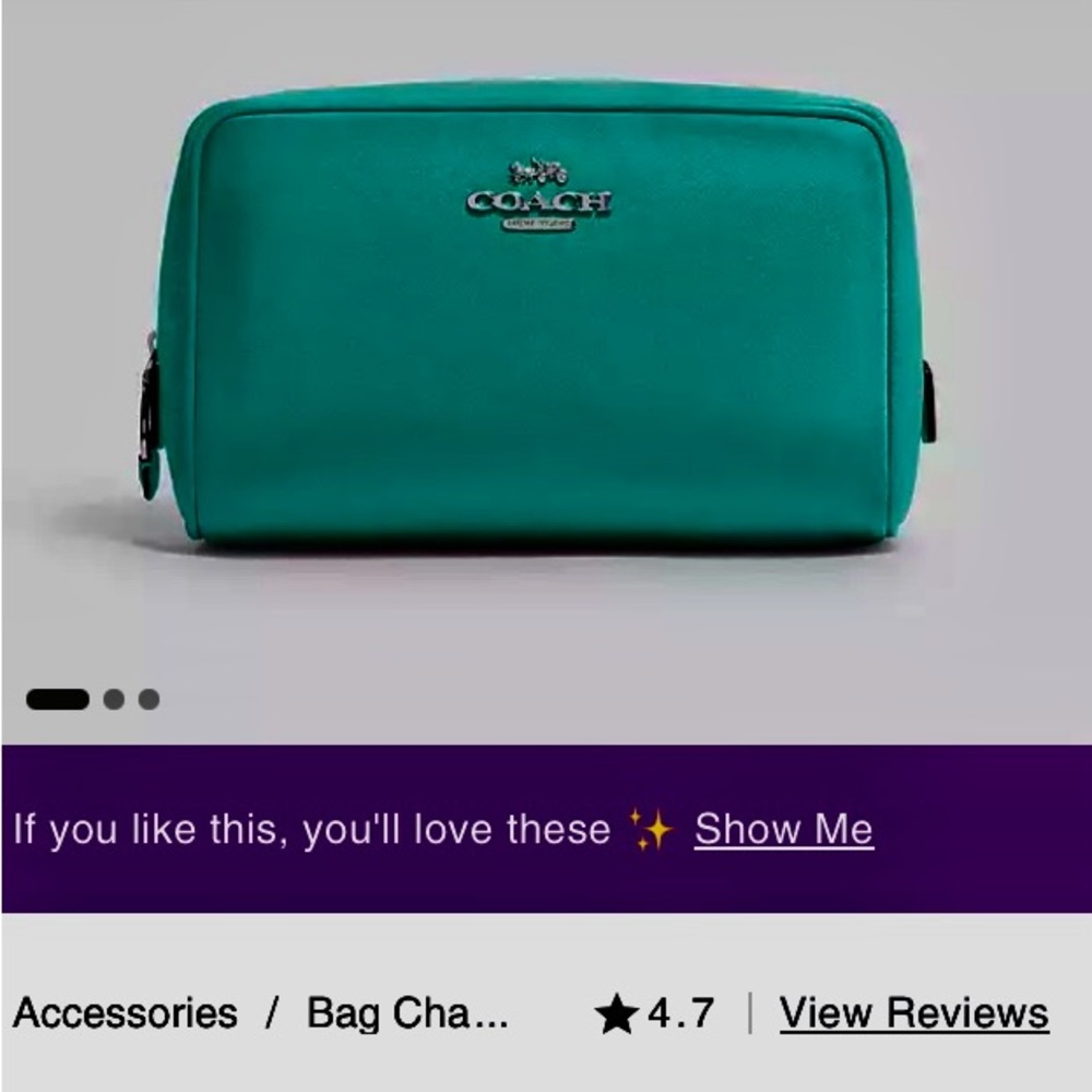 Coach Ellis cosmetic bag.
